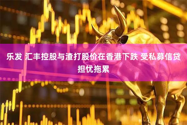 乐发 汇丰控股与渣打股价在香港下跌 受私募信贷担忧拖累