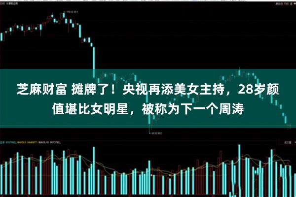 芝麻财富 摊牌了！央视再添美女主持，28岁颜值堪比女明星，被称为下一个周涛