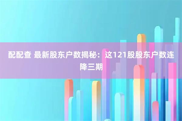 配配查 最新股东户数揭秘：这121股股东户数连降三期