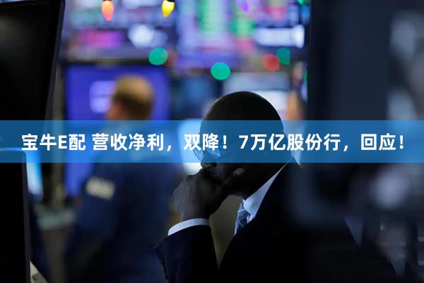 宝牛E配 营收净利，双降！7万亿股份行，回应！