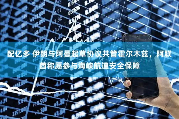 配亿多 伊朗与阿曼起草协议共管霍尔木兹,阿联酋称愿参与海峡航道安全保障