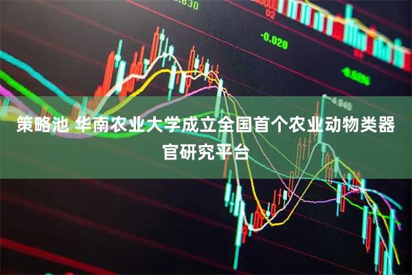 策略池 华南农业大学成立全国首个农业动物类器官研究平台