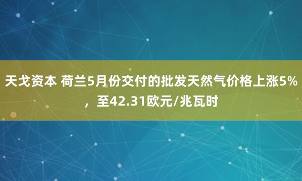 天戈资本 荷兰5月份交付的批发天然气价格上涨5%，至42.31欧元/兆瓦时