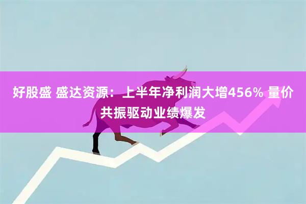 好股盛 盛达资源：上半年净利润大增456% 量价共振驱动业绩爆发